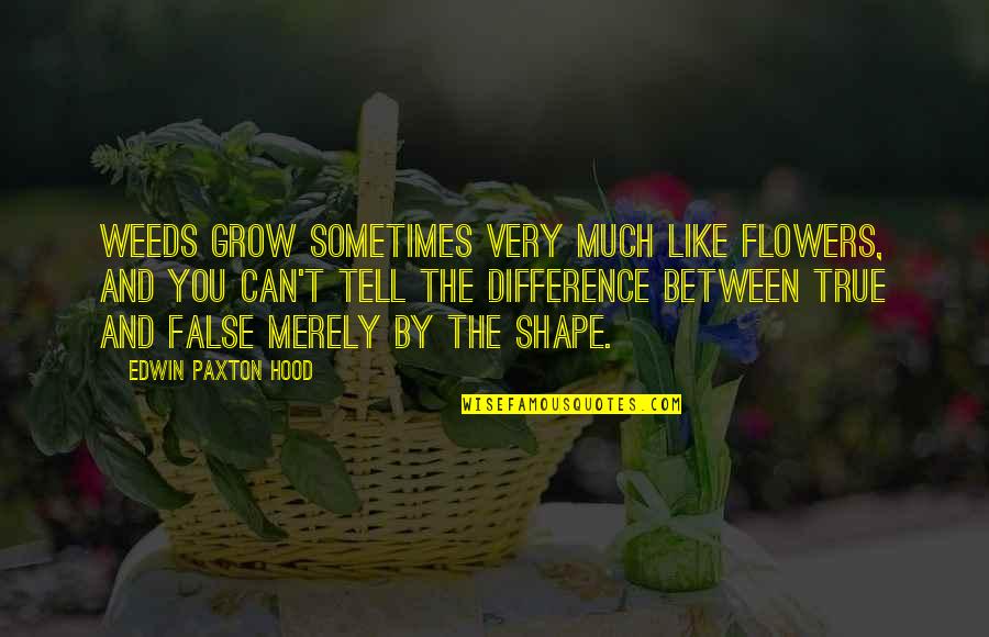 Flower Like Quotes By Edwin Paxton Hood: Weeds grow sometimes very much like flowers, and Flower Like Quotes By Edwin Paxton Hood: Weeds grow sometimes very much like flowers, and