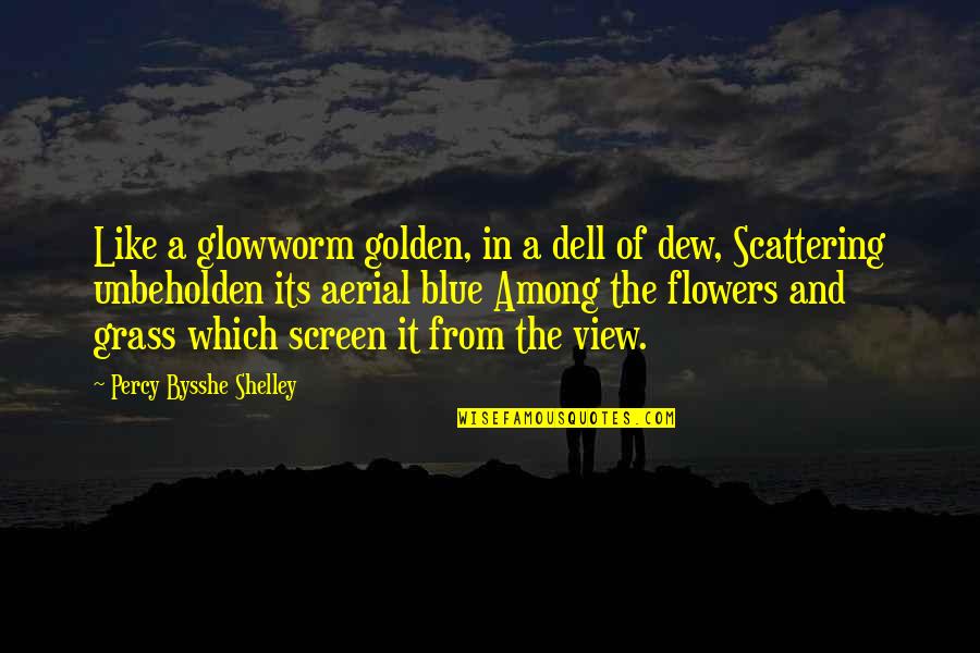 Flower Like Quotes By Percy Bysshe Shelley: Like a glowworm golden, in a dell of