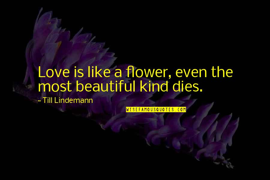 Flower Like Quotes By Till Lindemann: Love is like a flower, even the most Flower Like Quotes By Till Lindemann: Love is like a flower, even the most