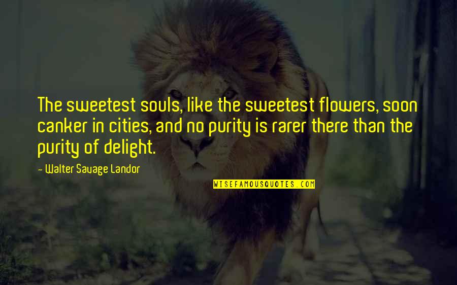 Flower Like Quotes By Walter Savage Landor: The sweetest souls, like the sweetest flowers, soon