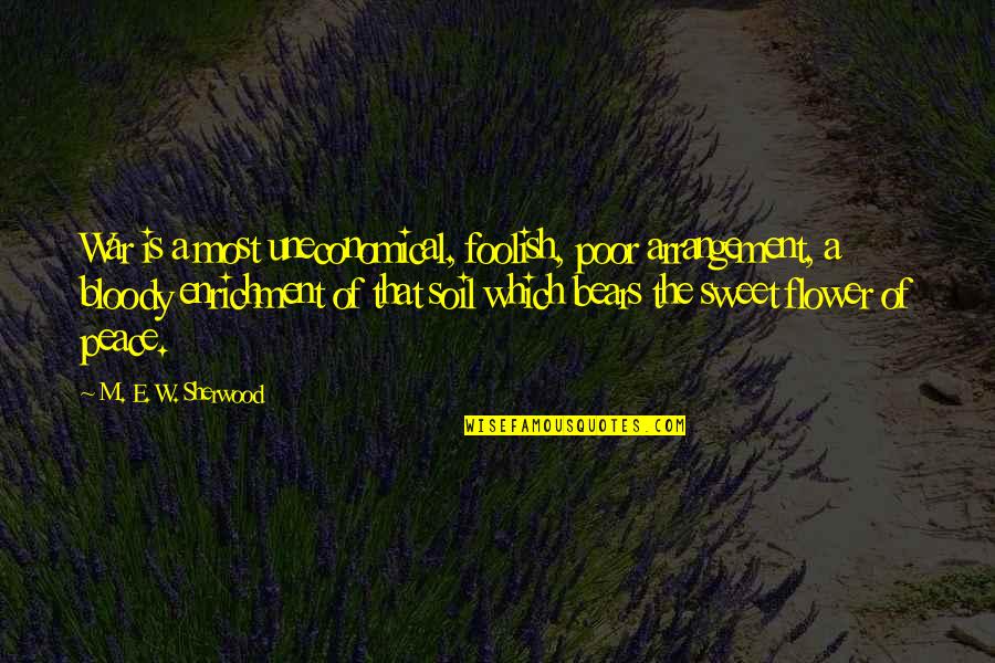 Flower Sweet Quotes By M. E. W. Sherwood: War is a most uneconomical, foolish, poor arrangement,