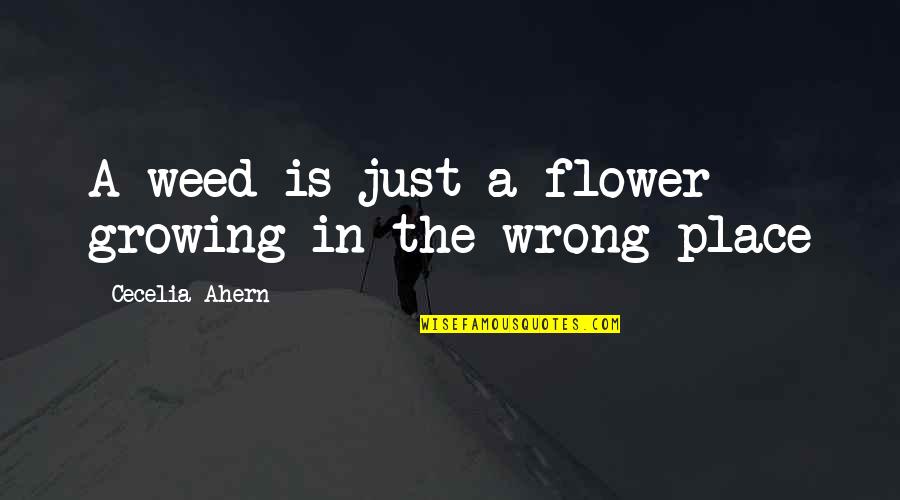 Flower Weed Quotes By Cecelia Ahern: A weed is just a flower growing in