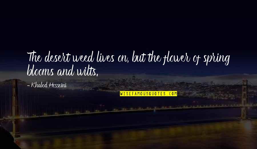 Flower Weed Quotes By Khaled Hosseini: The desert weed lives on, but the flower