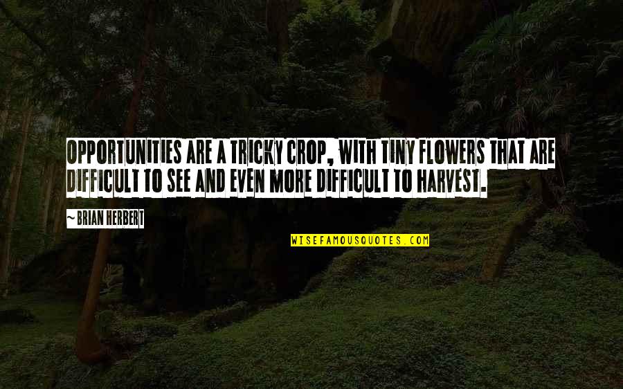 Flower With Quotes By Brian Herbert: Opportunities are a tricky crop, with tiny flowers Flower With Quotes By Brian Herbert: Opportunities are a tricky crop, with tiny flowers