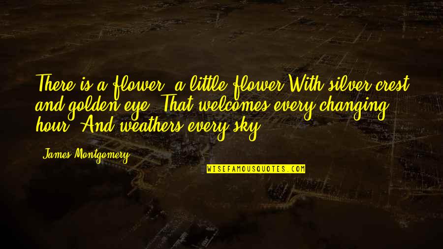 Flower With Quotes By James Montgomery: There is a flower, a little flower With Flower With Quotes By James Montgomery: There is a flower, a little flower With
