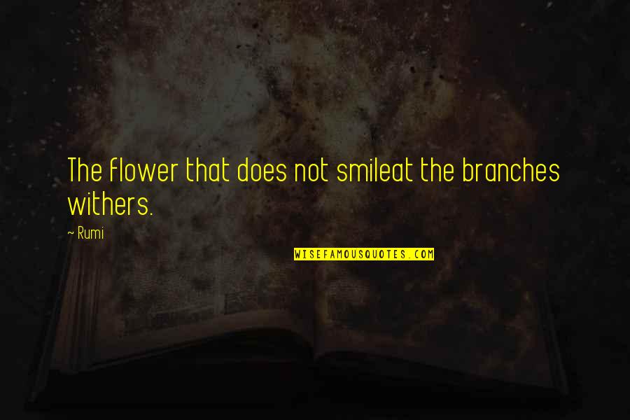 Flower Withers Quotes By Rumi: The flower that does not smileat the branches