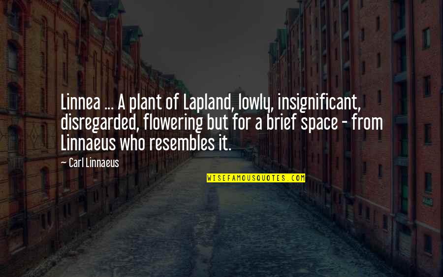 Flowering Quotes By Carl Linnaeus: Linnea ... A plant of Lapland, lowly, insignificant, Flowering Quotes By Carl Linnaeus: Linnea ... A plant of Lapland, lowly, insignificant,