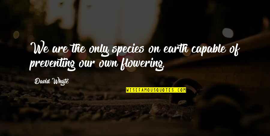 Flowering Quotes By David Whyte: We are the only species on earth capable