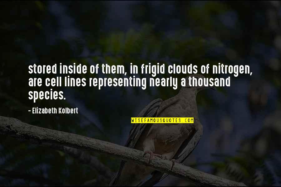 Flowers And Bee Quotes By Elizabeth Kolbert: stored inside of them, in frigid clouds of Flowers And Bee Quotes By Elizabeth Kolbert: stored inside of them, in frigid clouds of