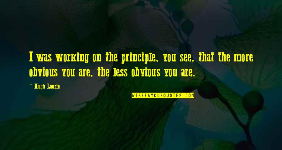 Flowers And Birthdays Quotes By Hugh Laurie: I was working on the principle, you see,