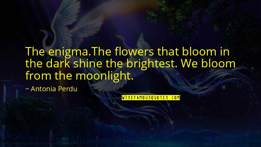 Flowers And Darkness Quotes By Antonia Perdu: The enigma.The flowers that bloom in the dark