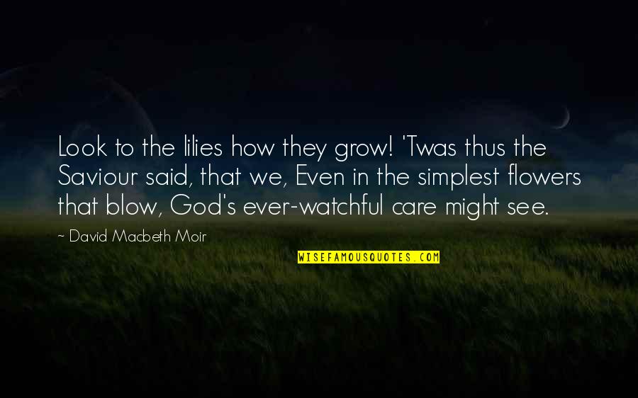 Flowers And God Quotes By David Macbeth Moir: Look to the lilies how they grow! 'Twas