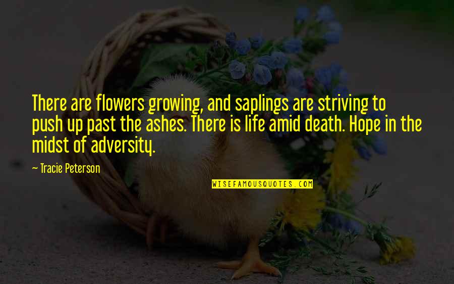 Flowers And Growing Up Quotes By Tracie Peterson: There are flowers growing, and saplings are striving