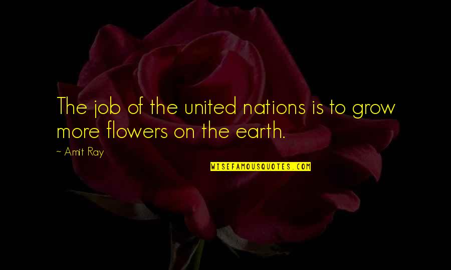 Flowers And Peace Quotes By Amit Ray: The job of the united nations is to