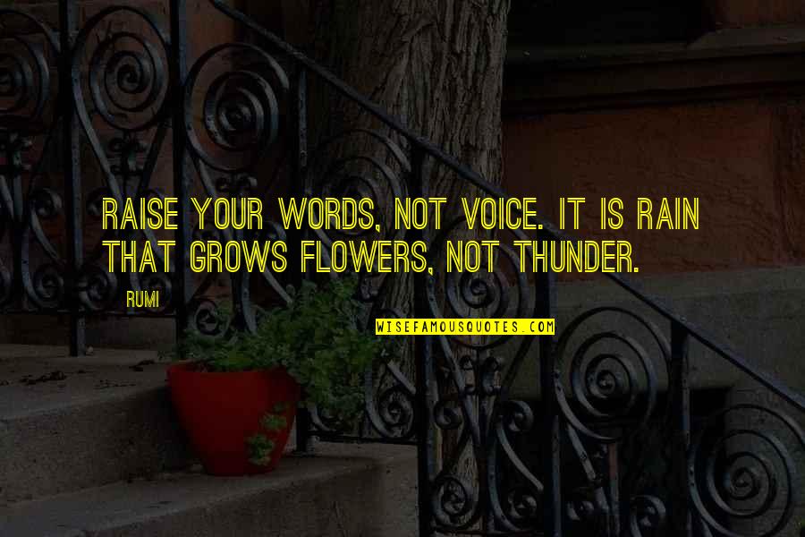 Flowers And Rain Quotes By Rumi: Raise your words, not voice. It is rain