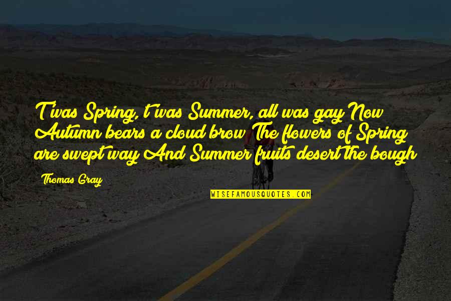 Flowers And Summer Quotes By Thomas Gray: T'was Spring, t'was Summer, all was gay Now