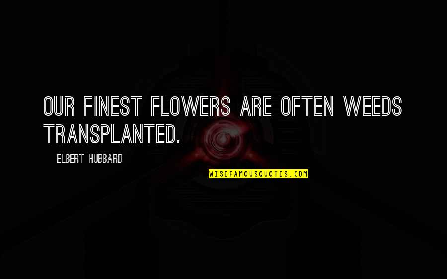 Flowers And Weeds Quotes By Elbert Hubbard: Our finest flowers are often weeds transplanted. Flowers And Weeds Quotes By Elbert Hubbard: Our finest flowers are often weeds transplanted.