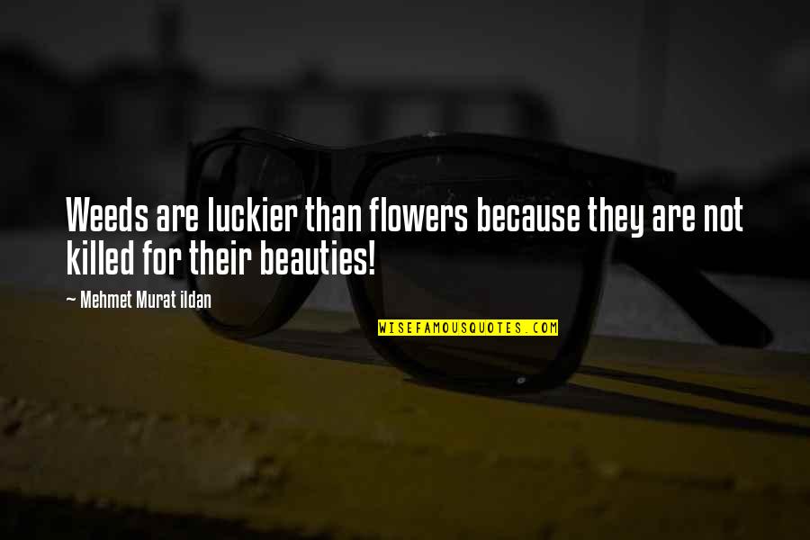 Flowers And Weeds Quotes By Mehmet Murat Ildan: Weeds are luckier than flowers because they are