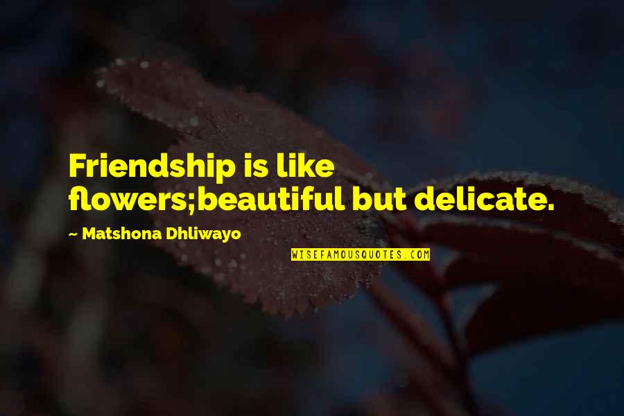 Flowers Are Beautiful Quotes By Matshona Dhliwayo: Friendship is like flowers;beautiful but delicate.