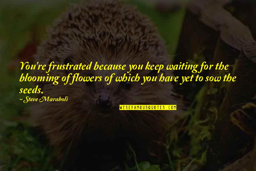 Flowers Are Blooming Quotes By Steve Maraboli: You're frustrated because you keep waiting for the