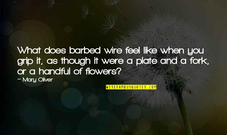 Flowers As Quotes By Mary Oliver: What does barbed wire feel like when you