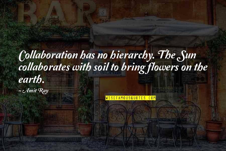 Flowers Earth Quotes By Amit Ray: Collaboration has no hierarchy. The Sun collaborates with
