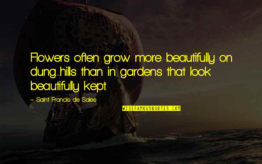 Flowers From My Garden Quotes By Saint Francis De Sales: Flowers often grow more beautifully on dung-hills than Flowers From My Garden Quotes By Saint Francis De Sales: Flowers often grow more beautifully on dung-hills than