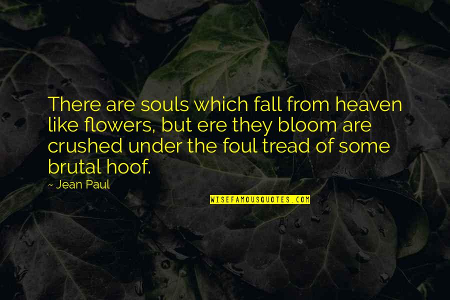 Flowers In Bloom Quotes By Jean Paul: There are souls which fall from heaven like