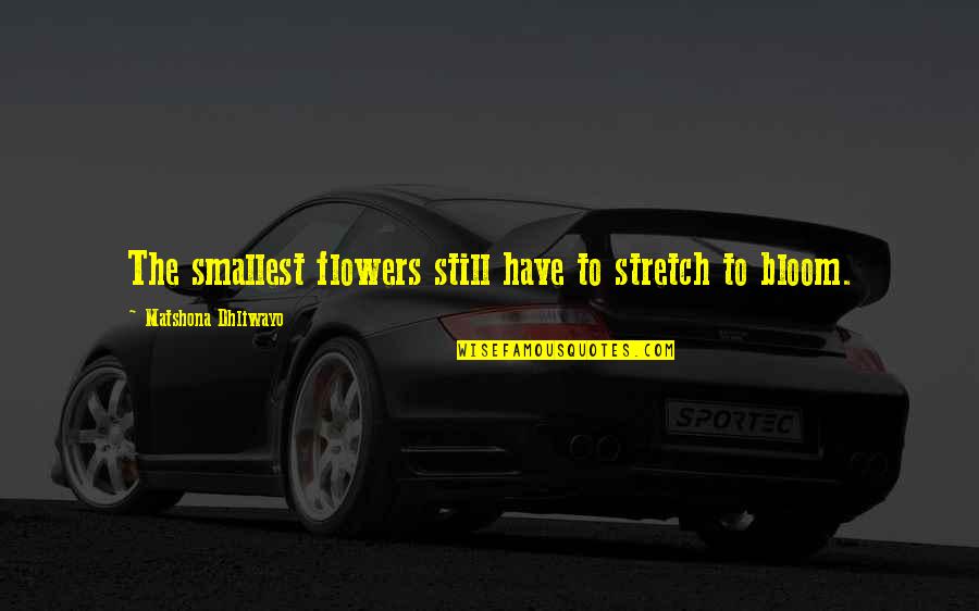 Flowers In Bloom Quotes By Matshona Dhliwayo: The smallest flowers still have to stretch to