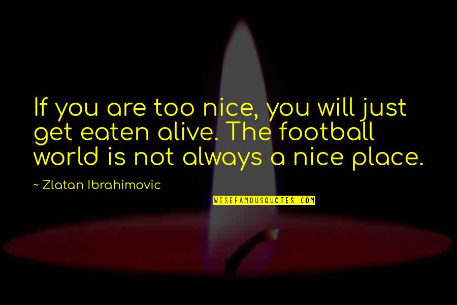 Fluffy Hair Quotes By Zlatan Ibrahimovic: If you are too nice, you will just