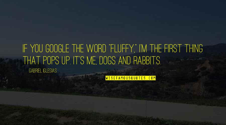 Fluffy Iglesias Quotes By Gabriel Iglesias: If you Google the word "fluffy," I'm the