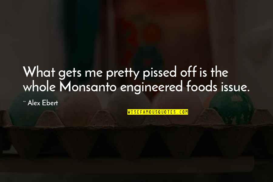 Flugelhorns Quotes By Alex Ebert: What gets me pretty pissed off is the