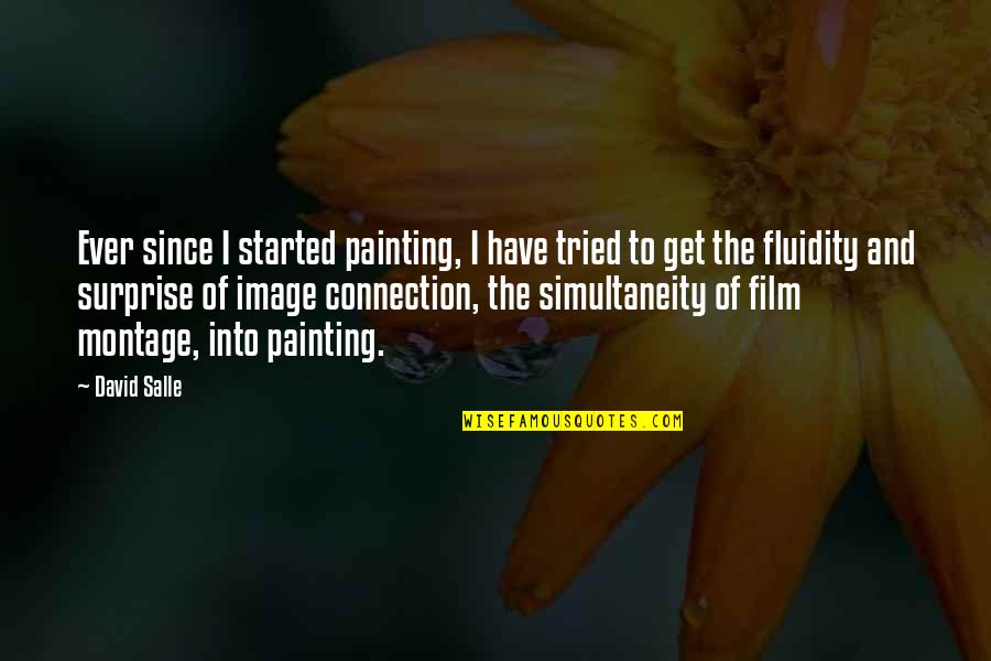 Fluidity Quotes By David Salle: Ever since I started painting, I have tried