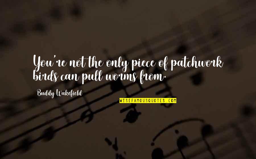 Flukeman Figure Quotes By Buddy Wakefield: You're not the only piece of patchwork birds Flukeman Figure Quotes By Buddy Wakefield: You're not the only piece of patchwork birds