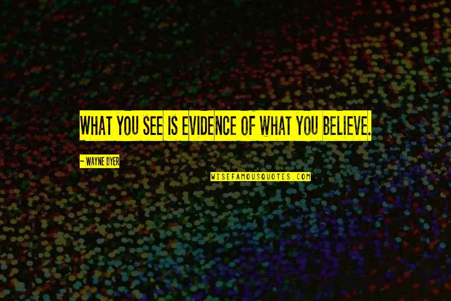 Flume App Quotes By Wayne Dyer: What you see is evidence of what you