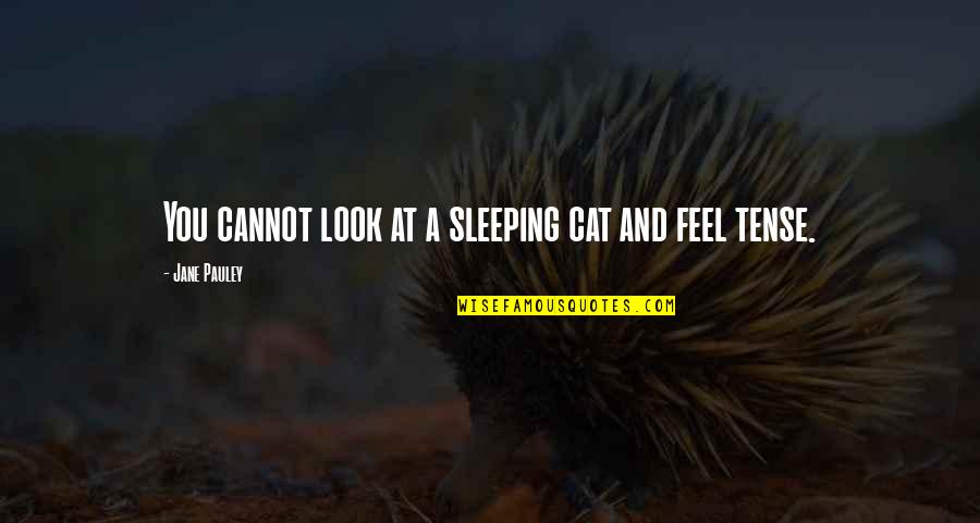 Flummerfelt Nevada Quotes By Jane Pauley: You cannot look at a sleeping cat and Flummerfelt Nevada Quotes By Jane Pauley: You cannot look at a sleeping cat and