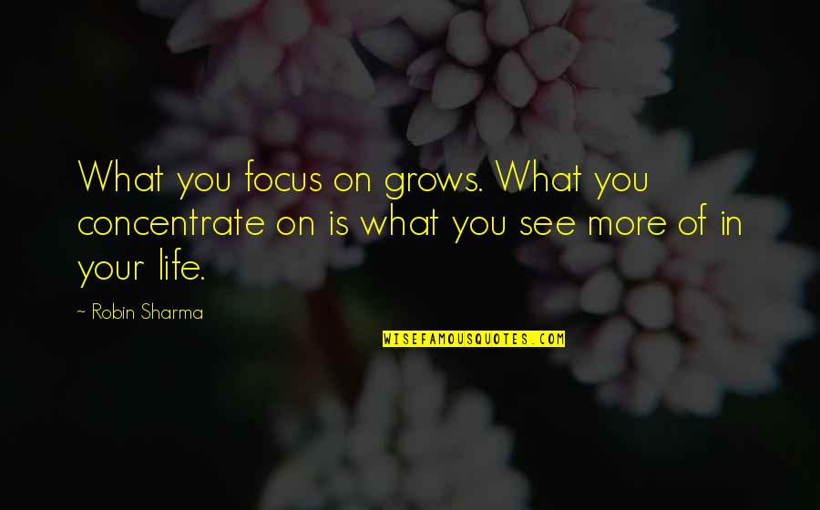 Flunkies Quotes By Robin Sharma: What you focus on grows. What you concentrate Flunkies Quotes By Robin Sharma: What you focus on grows. What you concentrate