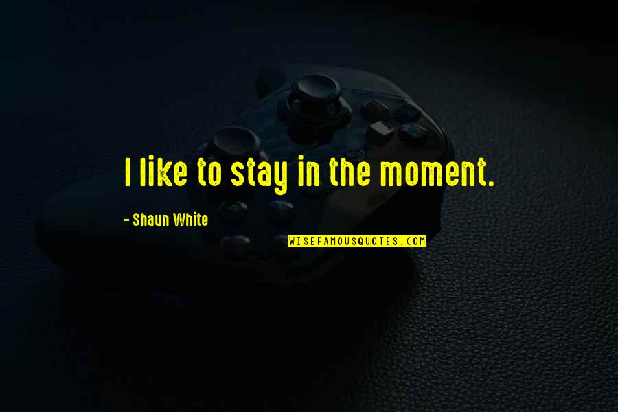 Fluorescings Quotes By Shaun White: I like to stay in the moment.