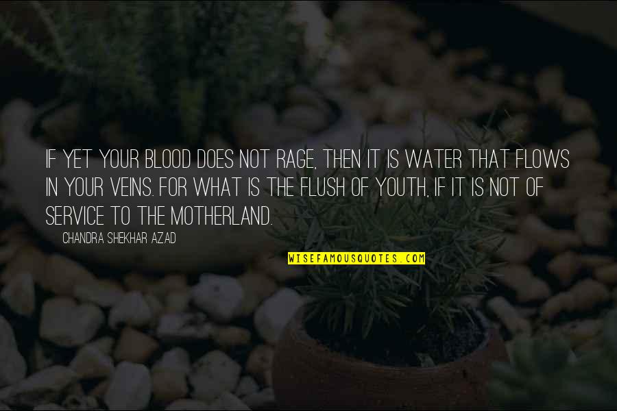 Flush Out Quotes By Chandra Shekhar Azad: If yet your blood does not rage, then Flush Out Quotes By Chandra Shekhar Azad: If yet your blood does not rage, then