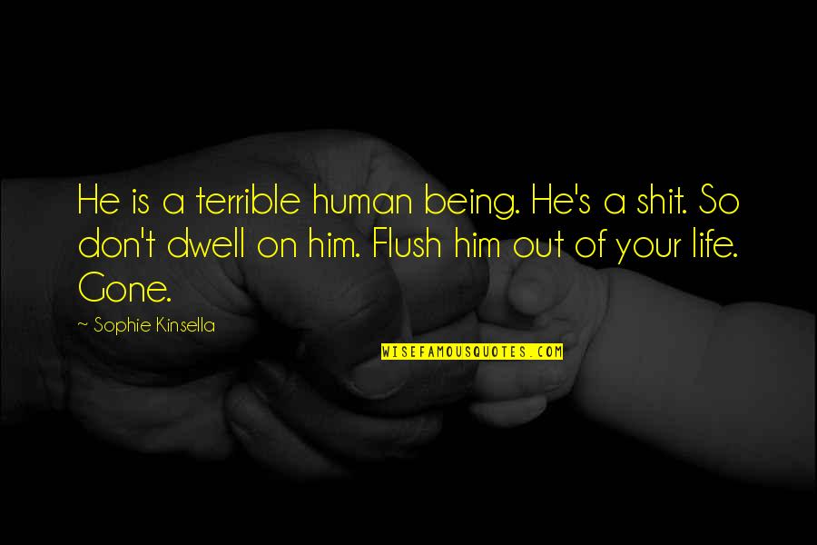 Flush Out Quotes By Sophie Kinsella: He is a terrible human being. He's a