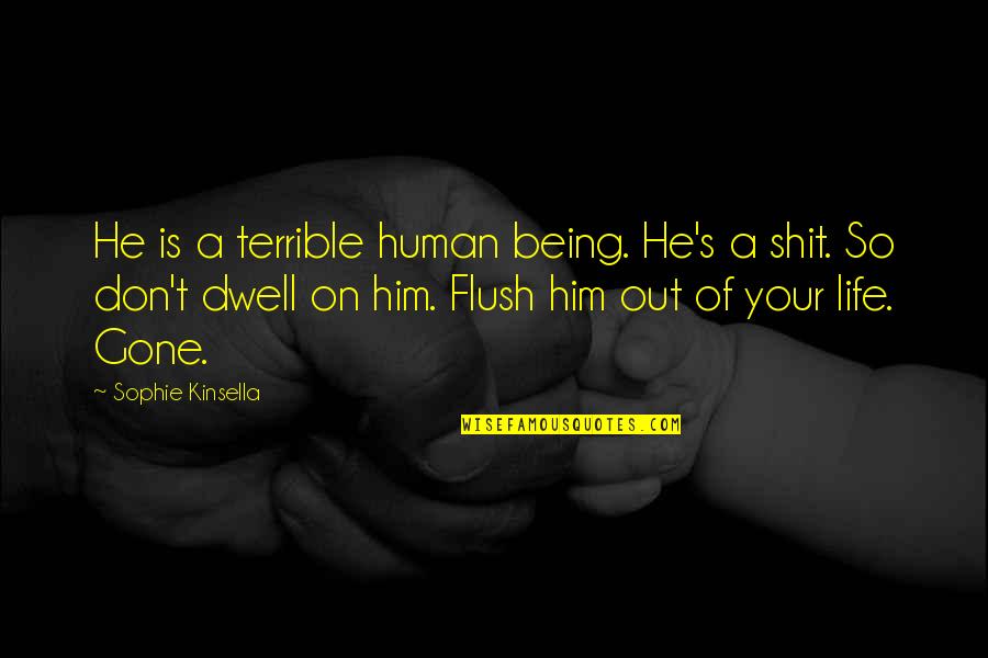 Flush Quotes By Sophie Kinsella: He is a terrible human being. He's a