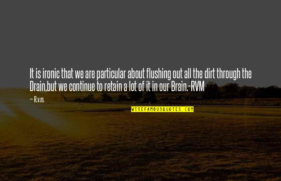 Flushing Quotes By R.v.m.: It is ironic that we are particular about