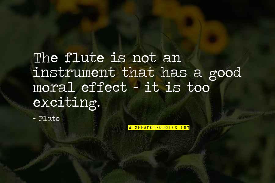 Flute Quotes By Plato: The flute is not an instrument that has