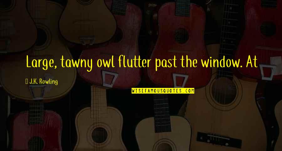 Flutter'd Quotes By J.K. Rowling: Large, tawny owl flutter past the window. At