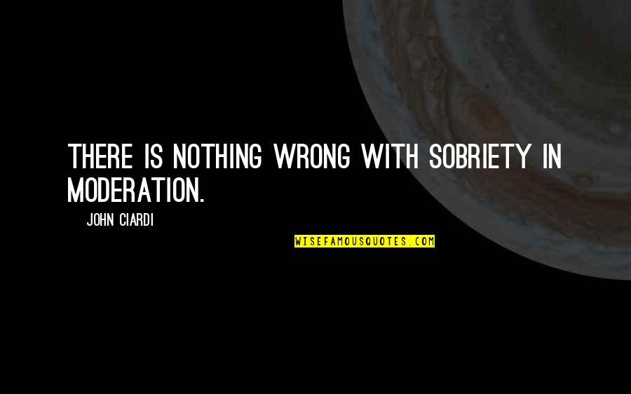 Flutuar Na Quotes By John Ciardi: There is nothing wrong with sobriety in moderation.