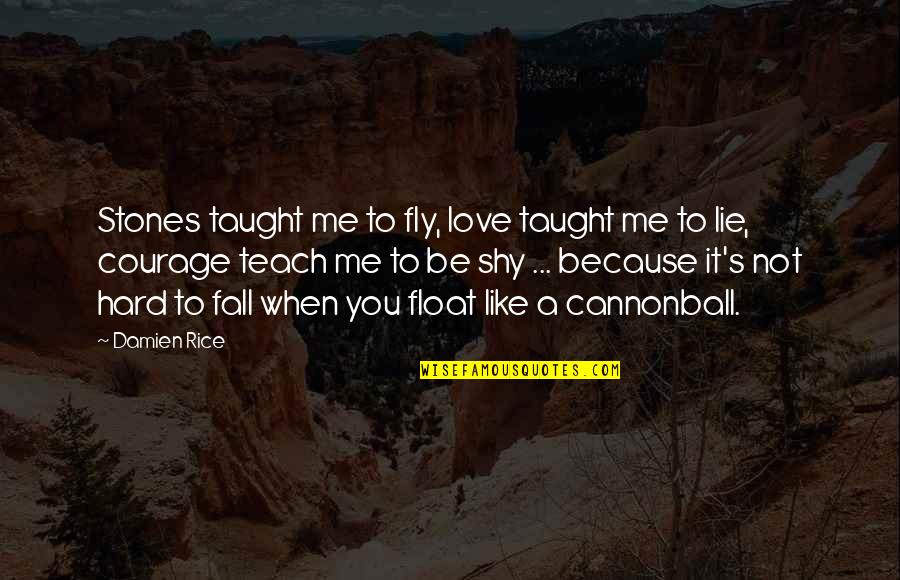 Fly And Fall Quotes By Damien Rice: Stones taught me to fly, love taught me