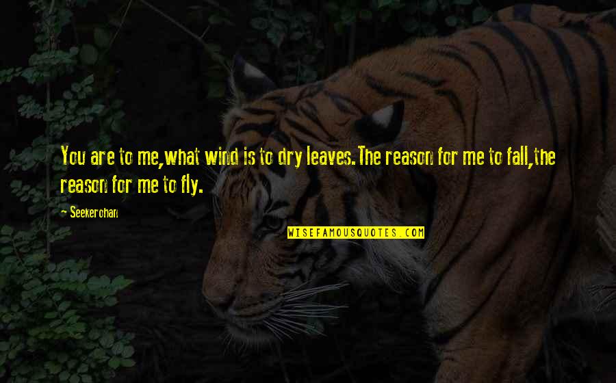 Fly And Fall Quotes By Seekerohan: You are to me,what wind is to dry