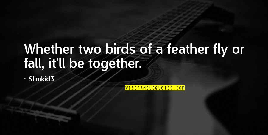 Fly And Fall Quotes By Slimkid3: Whether two birds of a feather fly or