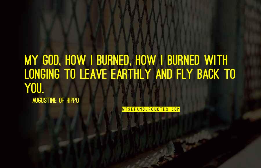 Fly Back Quotes By Augustine Of Hippo: My God, how I burned, how I burned