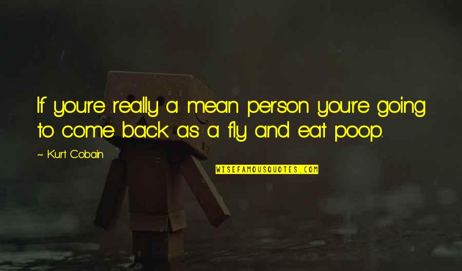 Fly Back Quotes By Kurt Cobain: If you're really a mean person you're going